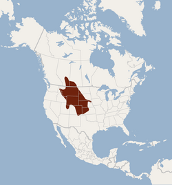 Distribution of Myotis ciliolabrum1.png