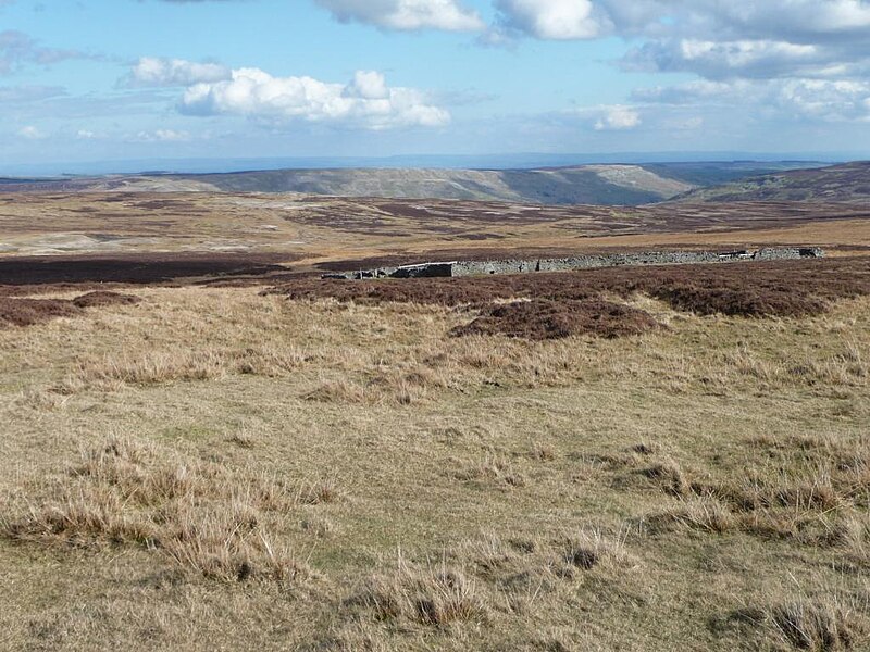 File:Disused sheepfold at Surrender Ground - geograph.org.uk - 2867154.jpg
