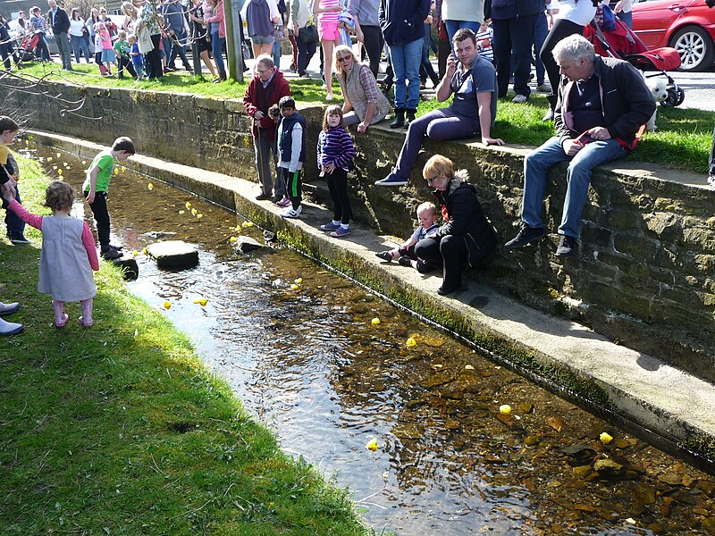 File:Duck Race Carleton 22.JPG