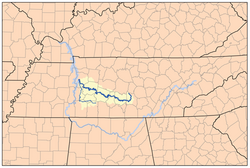 Tennessee Duck River