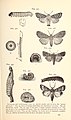 Economic entomology for the farmer.. (1896) (20531811754).jpg