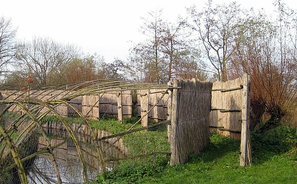 Modern example of a duck decoy, similar to those installed by Brereton