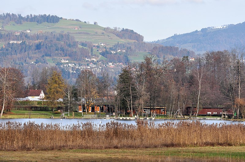 File:Egelsee (Bubikon) IMG 4946.JPG