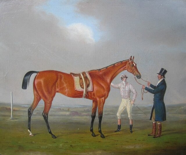 1801 Oaks winner Eleanor
