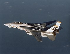 Самолёт F-14 Tomcat ВМС США.