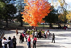 Fall at Tuskegee University