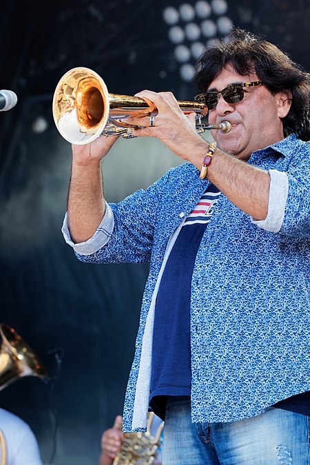 Festival du Bout du Monde 2017 - Boban Markovic Orkestar - 001.jpg