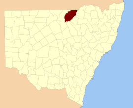 Finch NSW.PNG