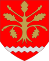 Wappen von Finström