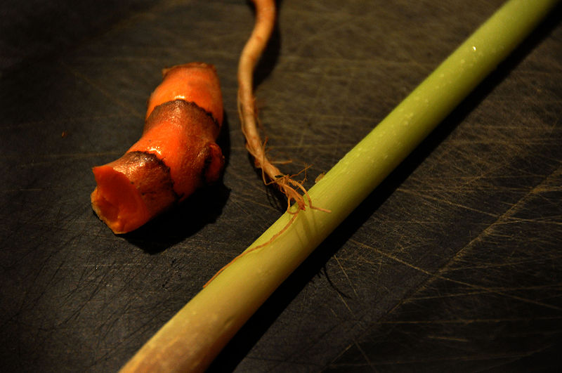 File:Flickr - cyclonebill - Gurkemeje, korianderrod og citrongræs.jpg