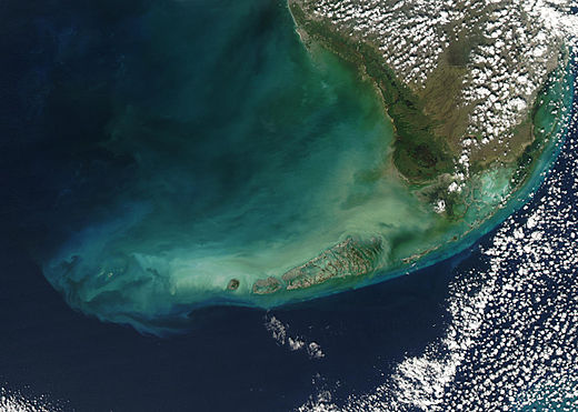 Satellite image of the Florida Keys