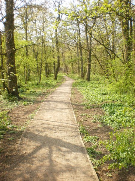 File:Footpath, Foxhill Bank Nature Reserve - geograph.org.uk - 1263359.jpg