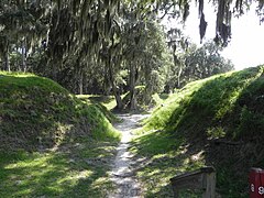 Fort McAllister