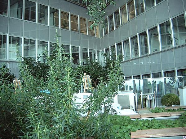 Garden on the 19th floor of Commerzbank Tower