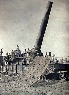 <span class="mw-page-title-main">Railway gun</span> Form of large artillery