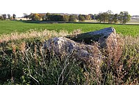 Gånggrift på Vikens ägor, Falköping, Västergötland.