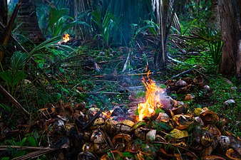 Gás natural queimando perpetuamente em Babulo, (Viqueque, Timor Leste).
