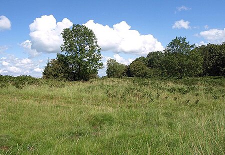 Geograph 2559806 Burrington Ham