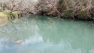 <span class="mw-page-title-main">Geronimo Creek</span> River in Texas, United States