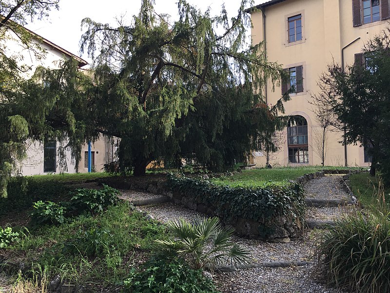 File:Giardino dei Semplici di Firenze 24.jpg