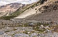 * Nomination Mountain path to the tongue of the Morteratsch glacier Val Morteratsch. --Agnes Monkelbaan 05:39, 29 November 2019 (UTC) * Promotion Good quality. -- Johann Jaritz 05:55, 29 November 2019 (UTC)