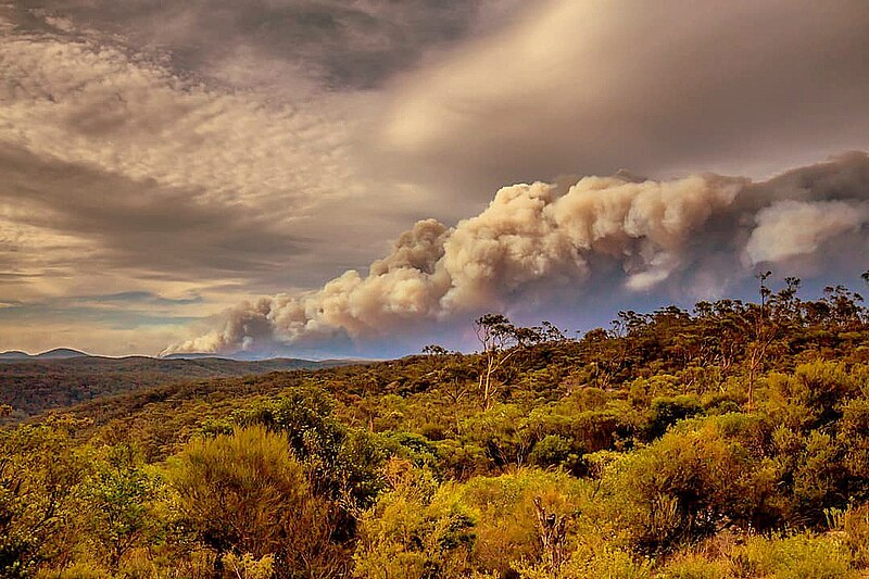 File:Gospers Mountain Fire.jpg