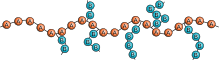 קופולימר שתול (Graft)