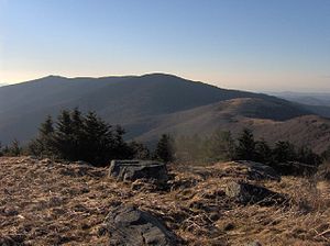 Roan Mountain při pohledu ze severozápadu od Grassy Ridge Bald