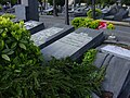 Grave of Maurice Hagemans in Ixelles cemetery (Brussels - 2002).JPG