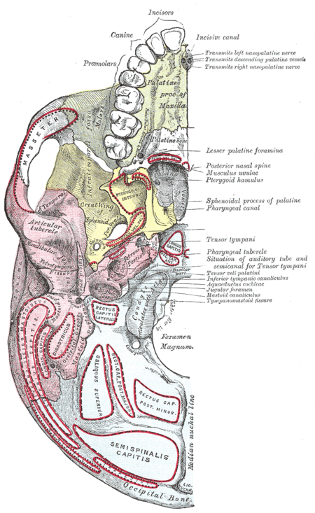 Tập_tin:Gray187.png