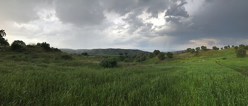 File:Green vegetation around 7 miles SE of Zakho, Iraq.jpg