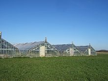 Greenhouses for Grapes.jpg