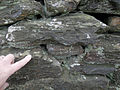 Grianan of Aileach Wall Stones.jpg
