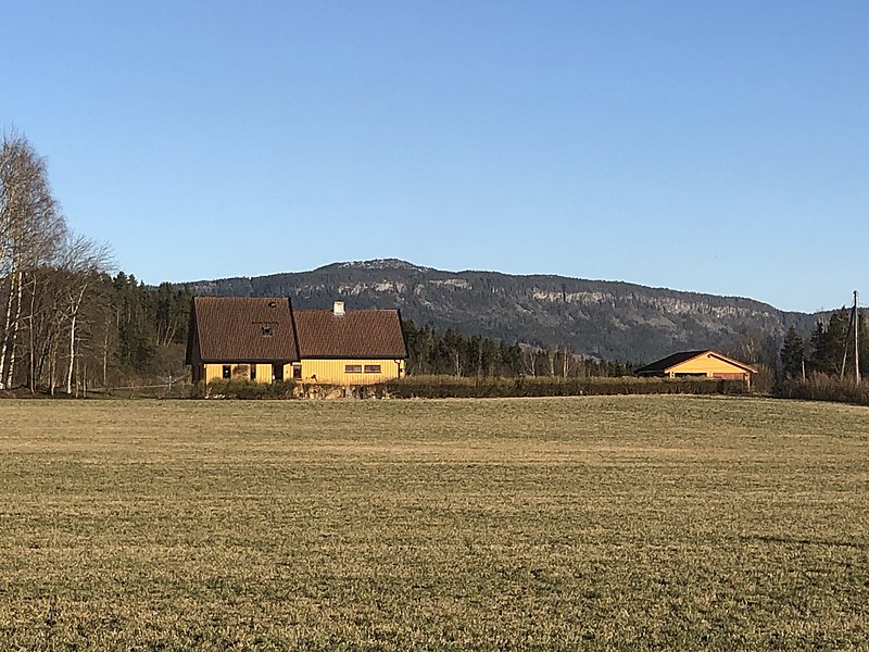 File:Hadelandsveien 135, Ringerike.jpg