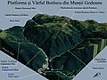 Harta 3D pentru Platforma și Vârful Borăscu din Munții Godeanu