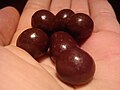 Hazelnuts in chocolate 7657657.jpg