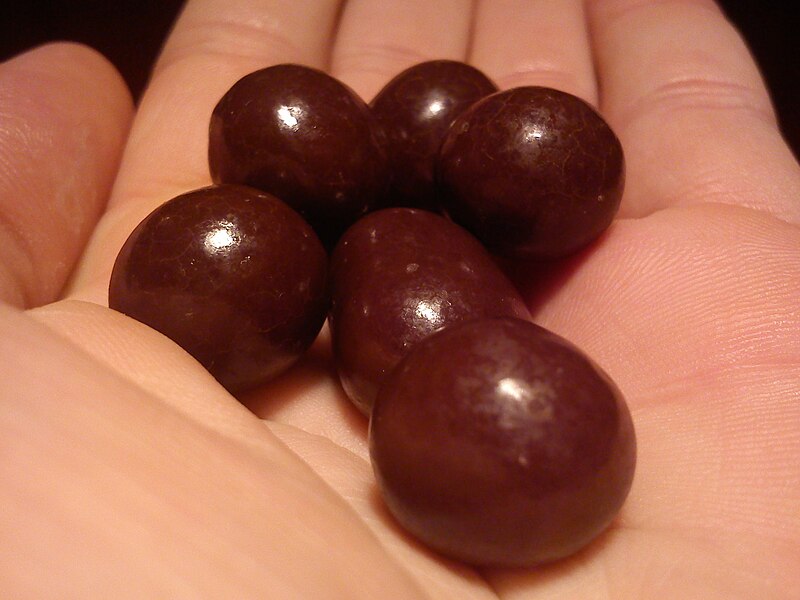 File:Hazelnuts in chocolate 7657657.jpg