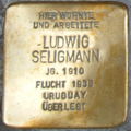 image=File:Heidelberg Ludwig Seligmann.png