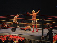 Heidenreich after defeating Brutus Beefcake during the Hulkamania Tour in 2009. Heidenreich.jpg