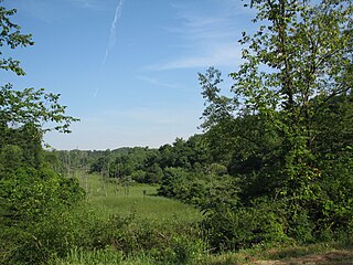 <span class="mw-page-title-main">Hillman State Park</span> State Park in Washington County, Pennsylvania
