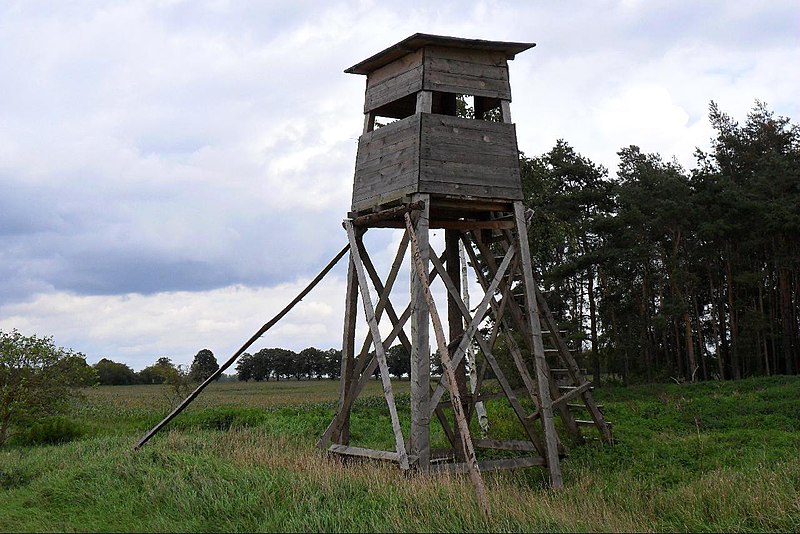 File:Hochsitz (Landkreis Müritz).jpg