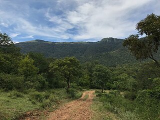 <span class="mw-page-title-main">Biligiriranga Hills</span> Wildlife sanctuary in South India