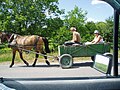 Horse-drawn wagon on the way to Orheiul Vechi (182399565).jpg