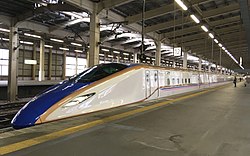Jōetsu Shinkansen E7 Series Shinkansen 20191121 1.jpg