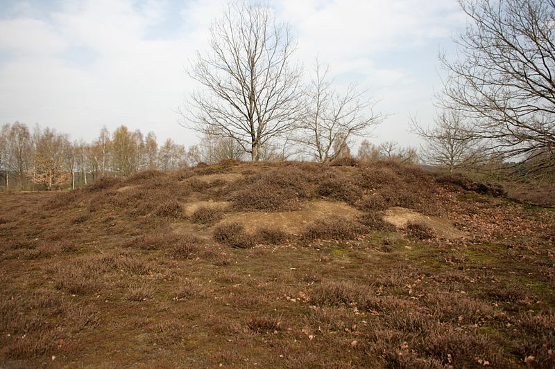 File:Jelmstorf - Hügelgräberfeld Addenstorfer Heide 04 ies.jpg