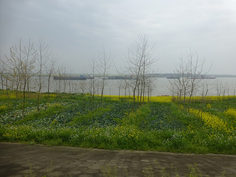 File:Jiayu County - Panjiawan - on the Yangtze embankment - P1540239.JPG