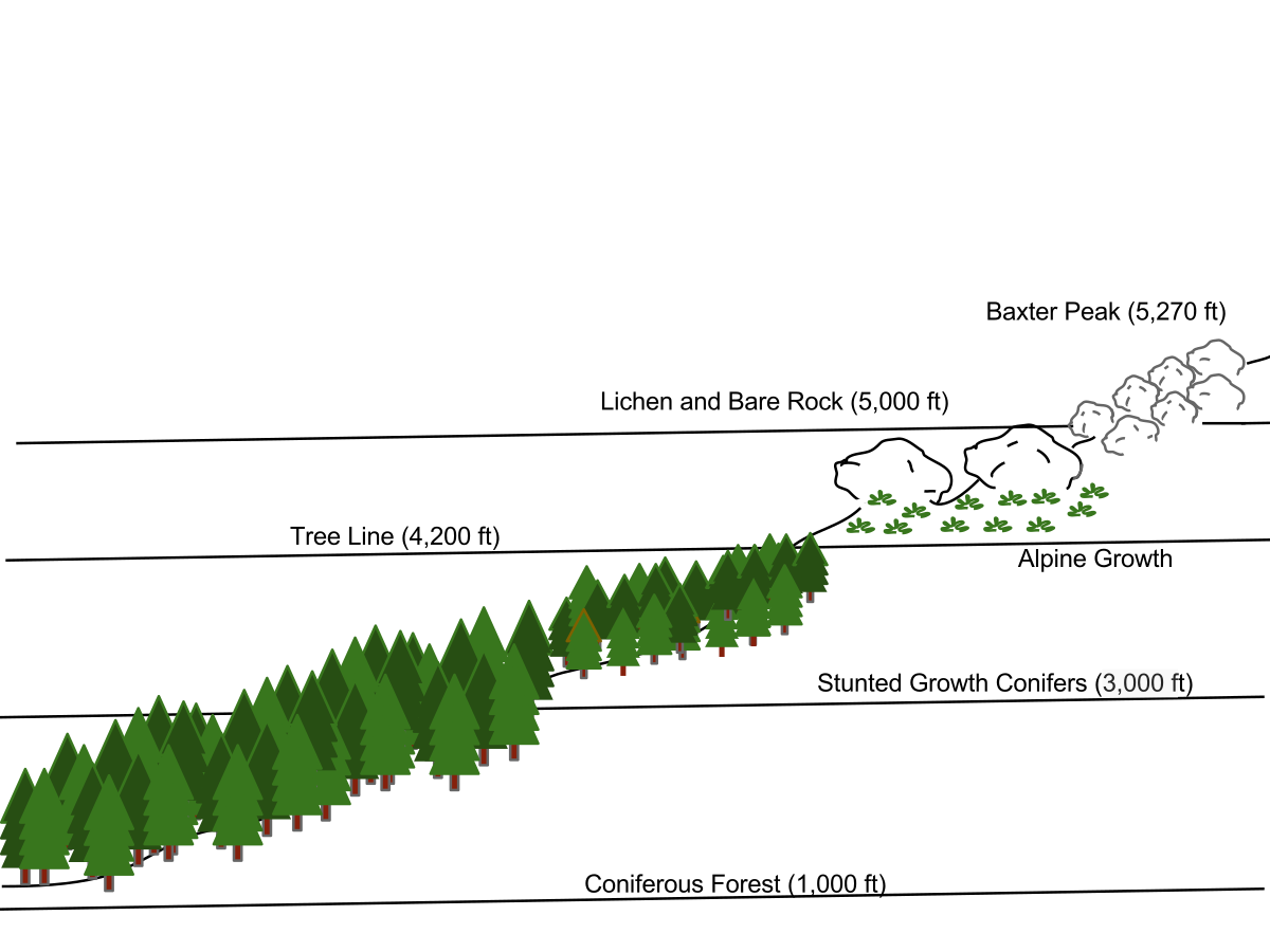 Free Free 195 Mountain Tree Line Svg SVG PNG EPS DXF File