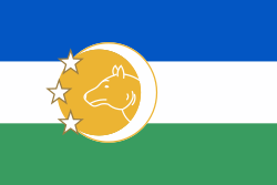Flag with blue, white, green stripes and crescent with stars, which have a picture of wolf in it.
