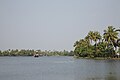 From the backwaters in Kerala.