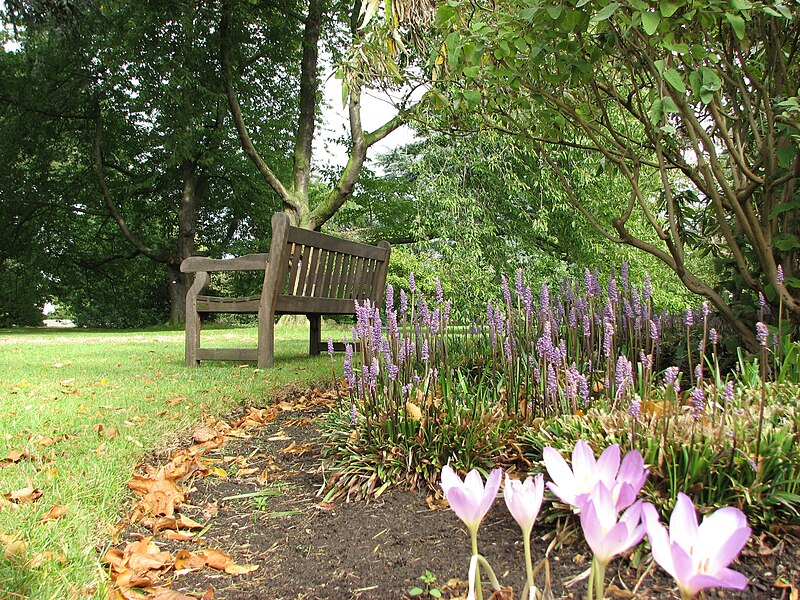 File:Kew Gardens - London - September 2008 (2952817448).jpg